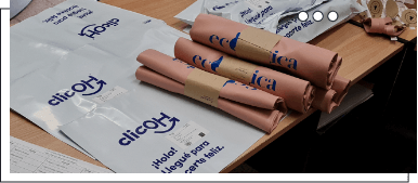 Consolidación Regional